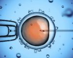 Rynek in vitro w Polsce owiany tajemnicą