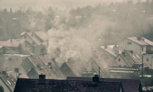 14 listopada – Dzień Czystego Powietrza. Jak o nie zadbać?