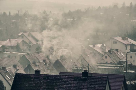 14 listopada – Dzień Czystego Powietrza. Jak o nie zadbać?